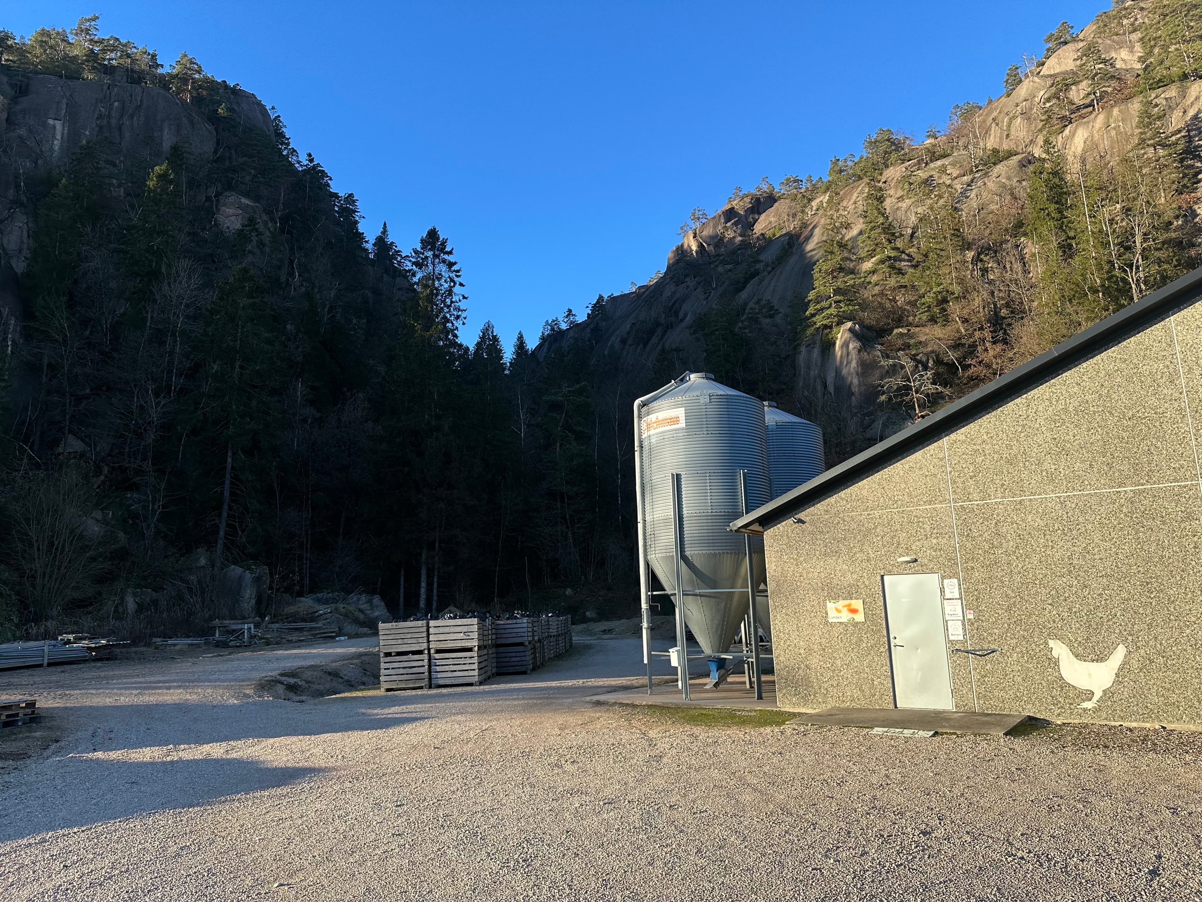 Kyllinggård med fôrsiloer