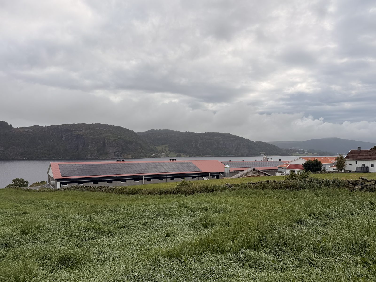 Det lange kyllinghuset med solceller på taket, sett over jordet med fjorden og fjellene bak