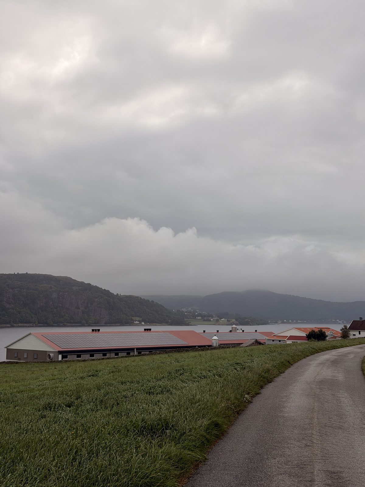 Kyllinghuset med solceller på taket, sett fra veien ned mot fjorden